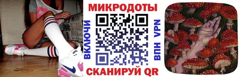 Купить  Дедовск  Галлюциногенные грибы Magic Shrooms 